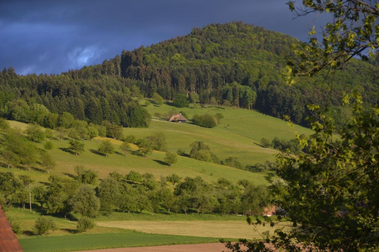 Haus Reichenbach Apartment Глотертал Екстериор снимка